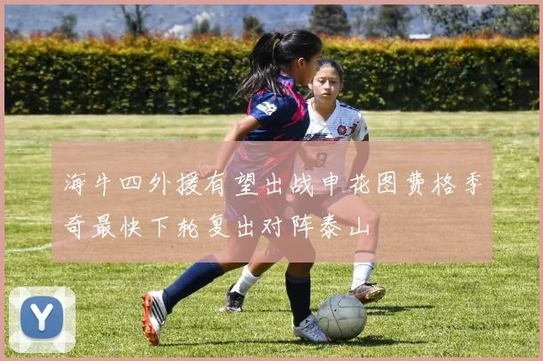 海牛四外援有望出战申花图费格季奇最快下轮复出对阵泰山